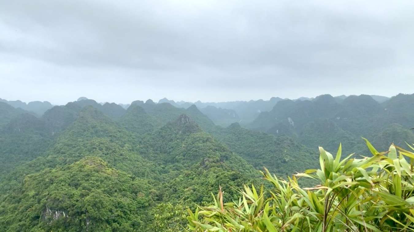 Cat Ba tourism