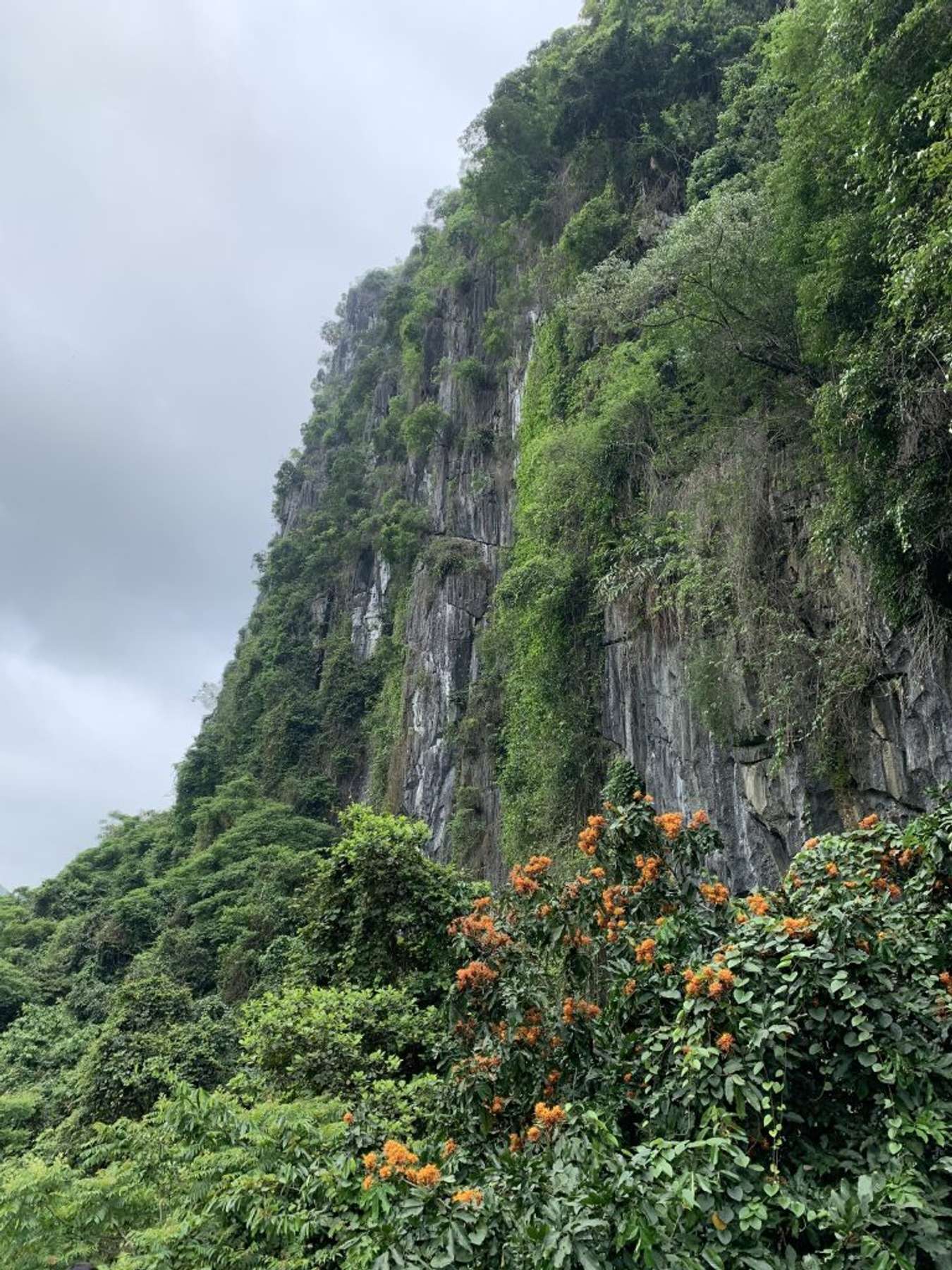 Cat Ba tourism