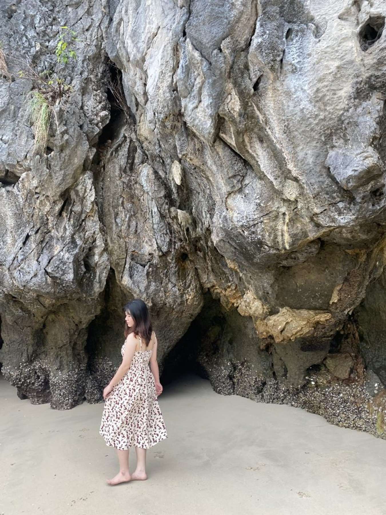 Cat Ba tourism