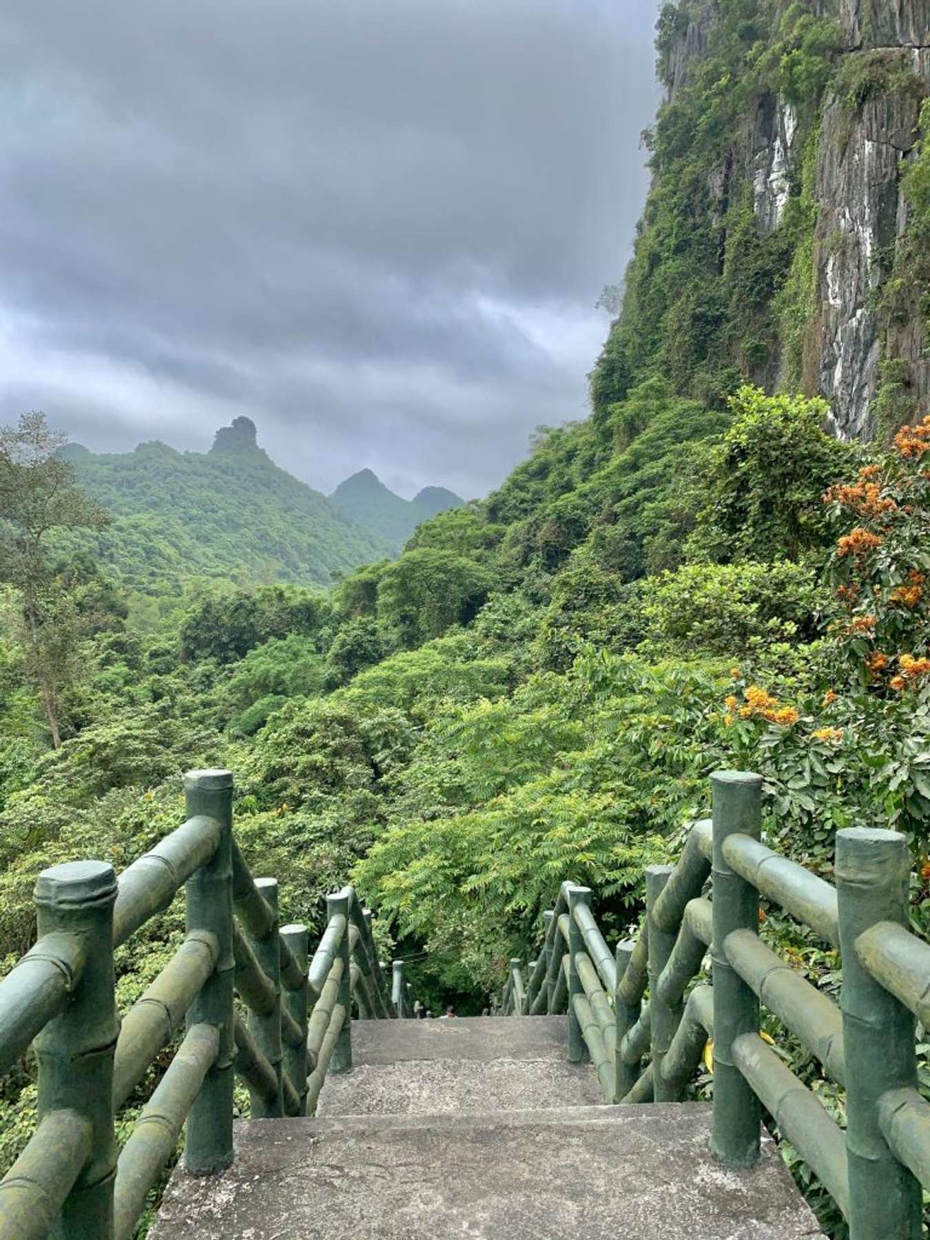 Cat Ba tourism
