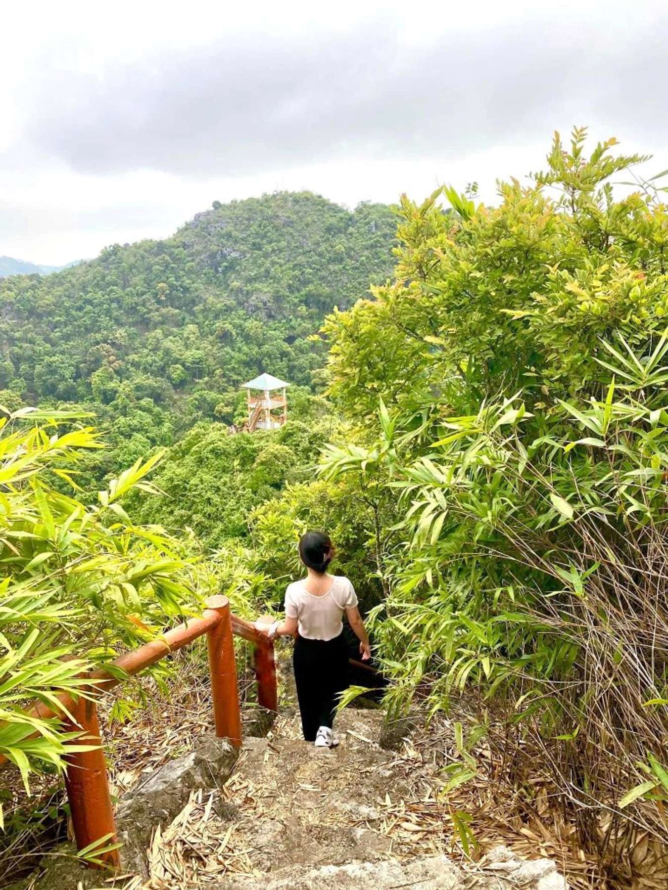 Cat Ba tourism