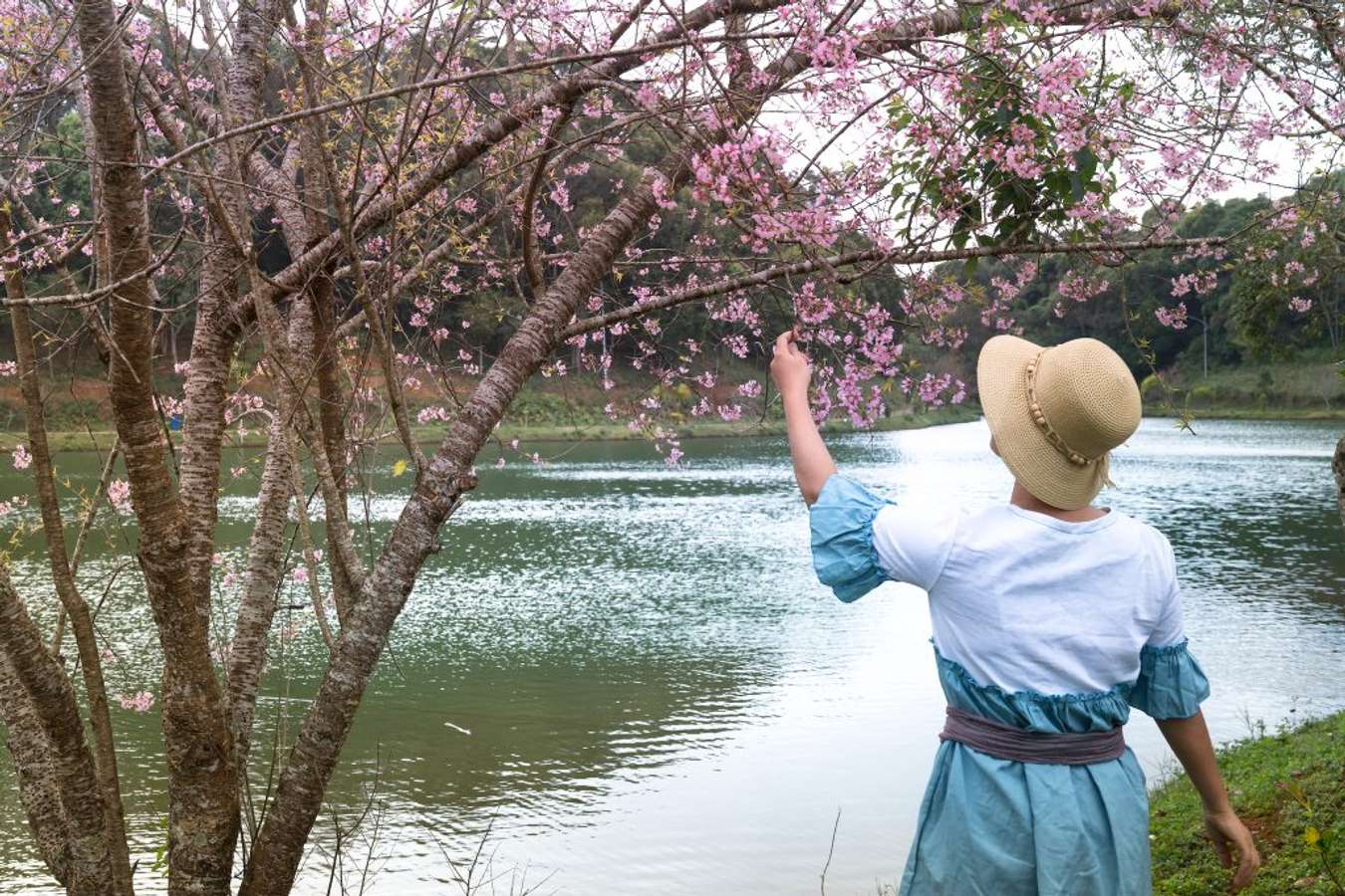 khu du lịch sinh thái Măng Đen