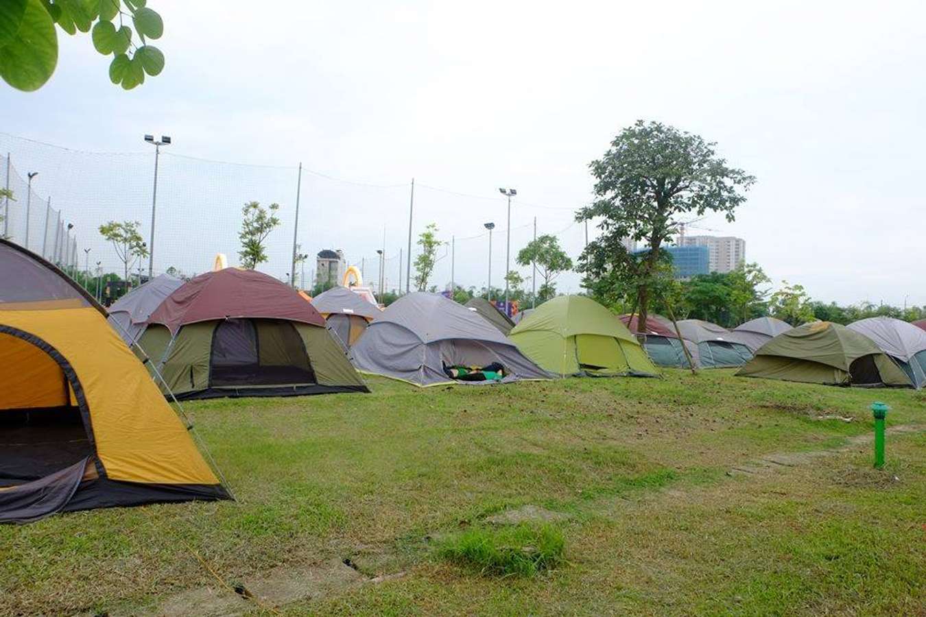 Du lịch khu sinh thái Đầm Trành và TOP những điều cần lưu ý Du Lịch Khu Sinh Thái Đầm Trành Và Top Những Điều Cần Lưu Ý