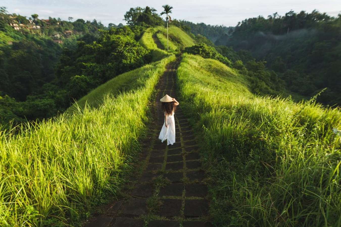 Campuhan Ridge Walk - What to do in Bali
