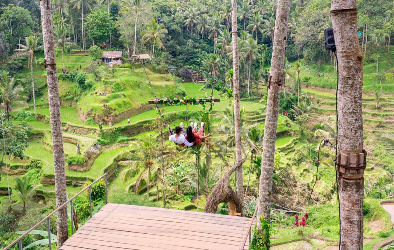 Tegallalang Terrace - What to do in Bali