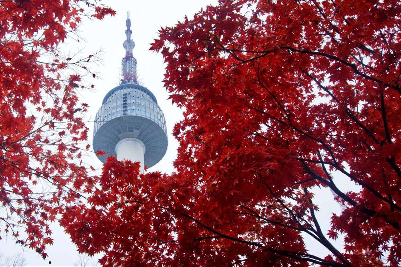 Tháp Namsan Hàn Quốc