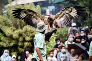 7 Aktivitas Seru yang Bisa Dilakukan di Lembang Park & Zoo, Xperience Team