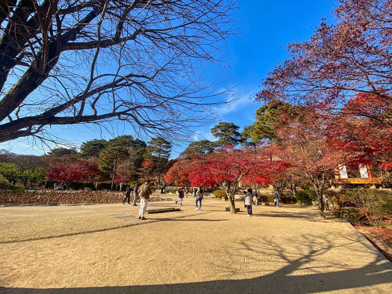 công viên Yeouido Hangang