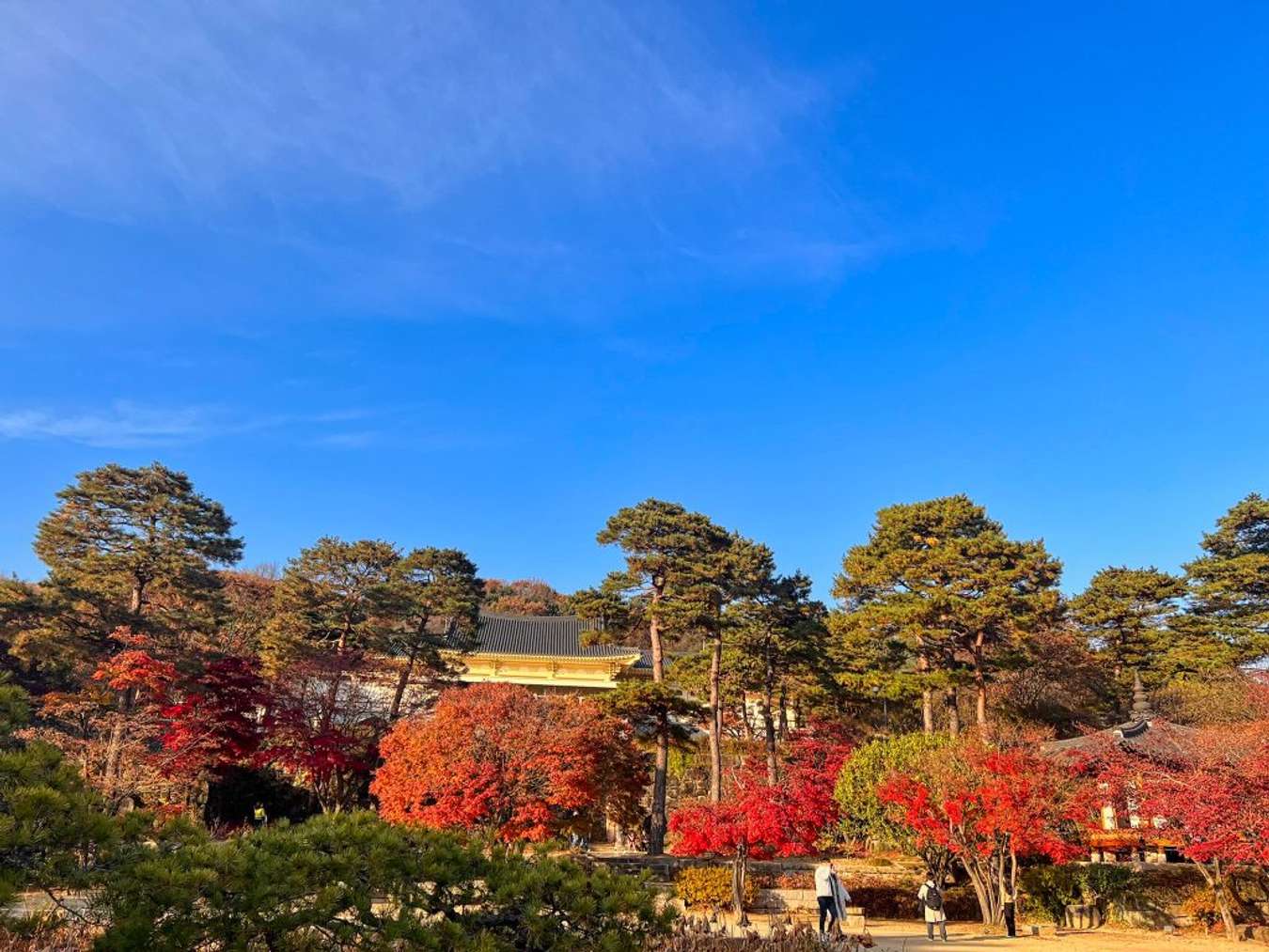 công viên Yeouido Hangang