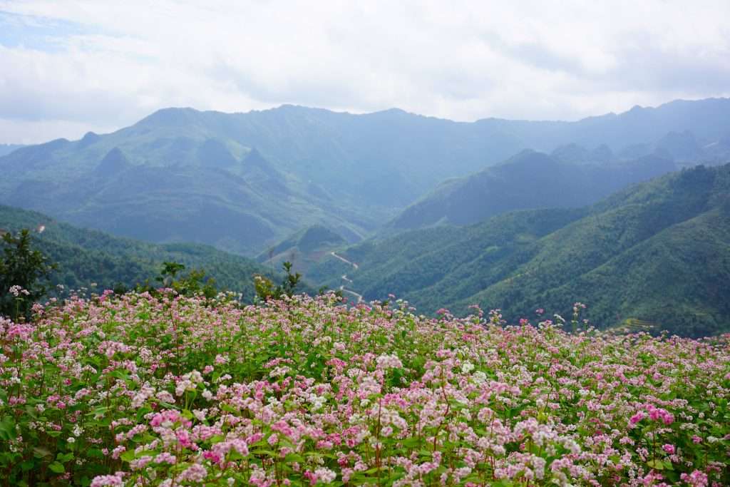 Làng Lô Lô Chải đẹp tựa cổ tích tại Hà Giang