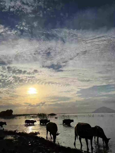 camping hồ Dầu Tiếng