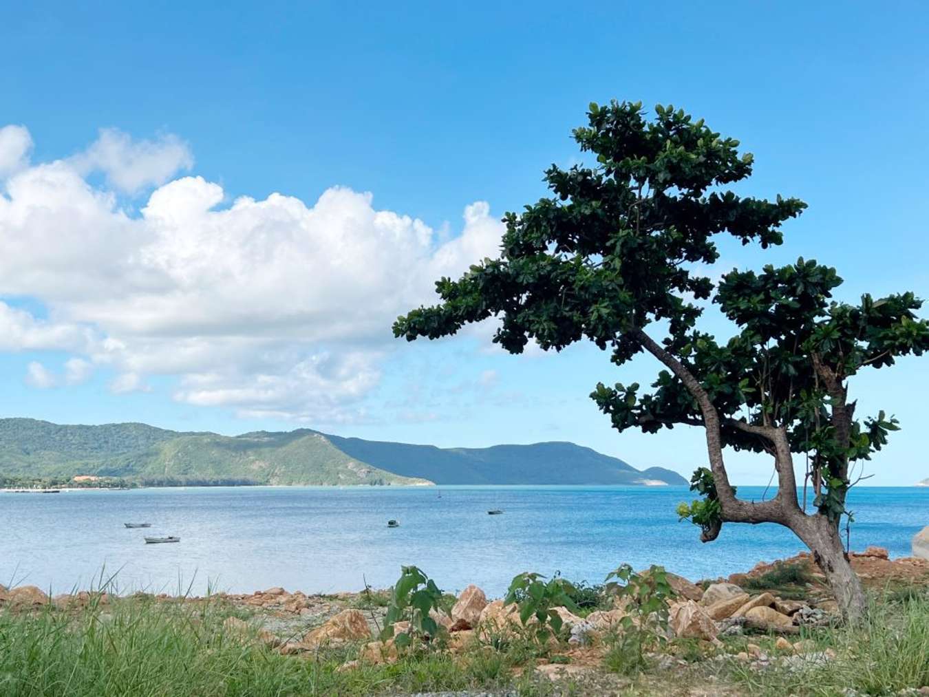 trải nghiệm ở Côn Đảo