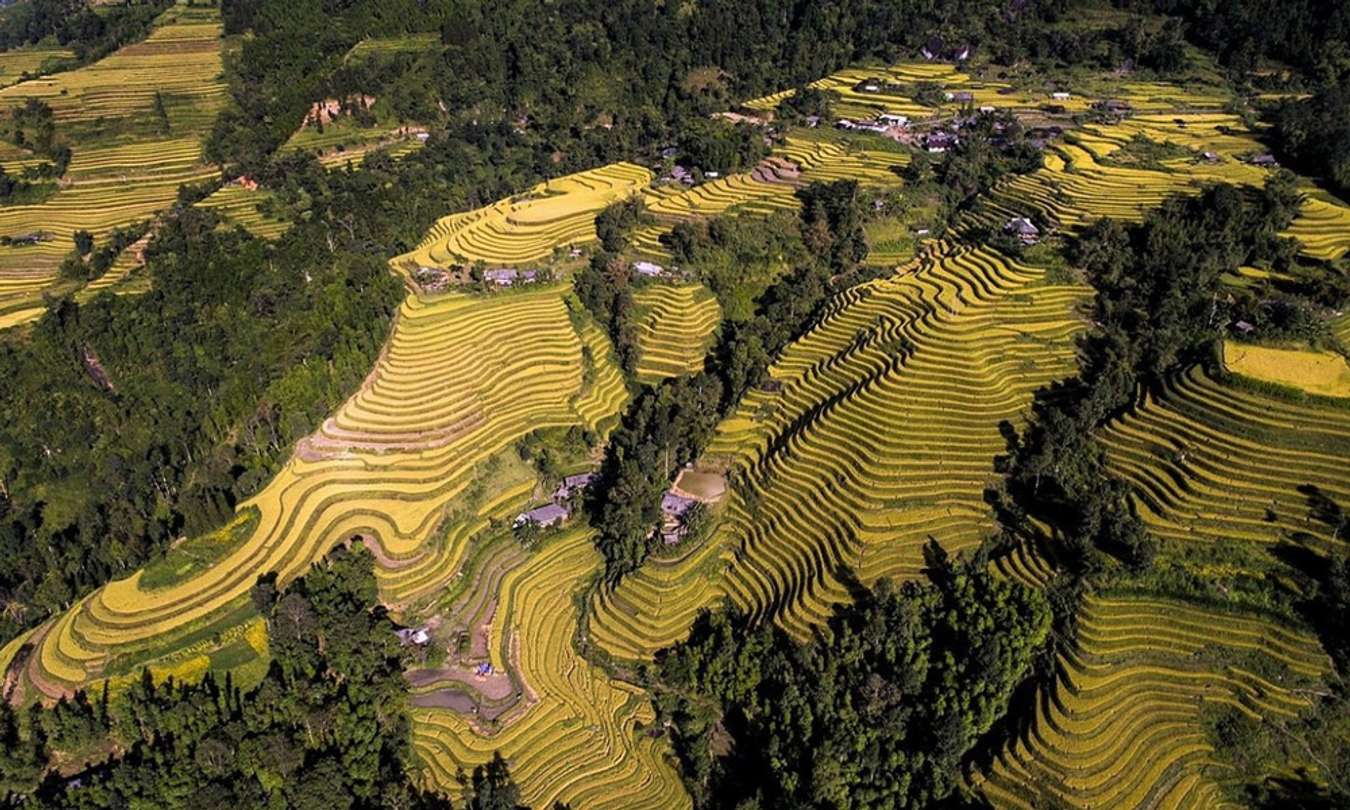 Ruộng bậc thang Hoàng Su Phì