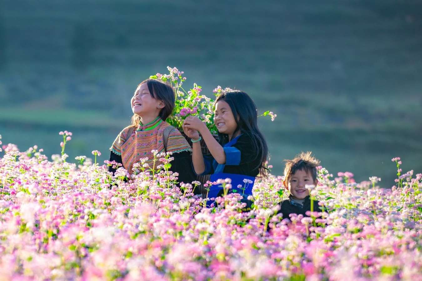 Du lịch Hà Giang tháng 2 đón xuân vùng cao