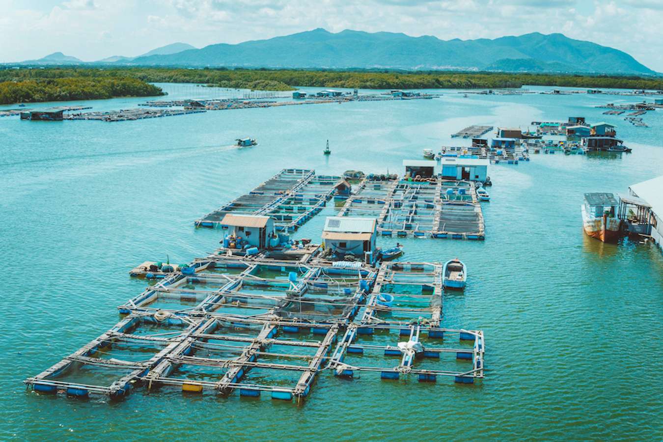 Cẩm Nang Du Lịch Làng Bè Long Sơn Trọn Vẹn Nhất 