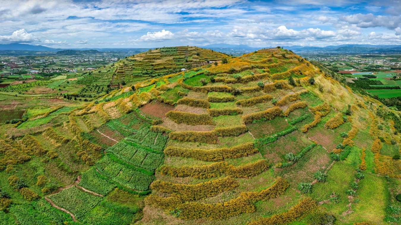 Top 10 phong cảnh Đà Lạt “nên thơ” mà bạn nhất định phải ghé thăm ...