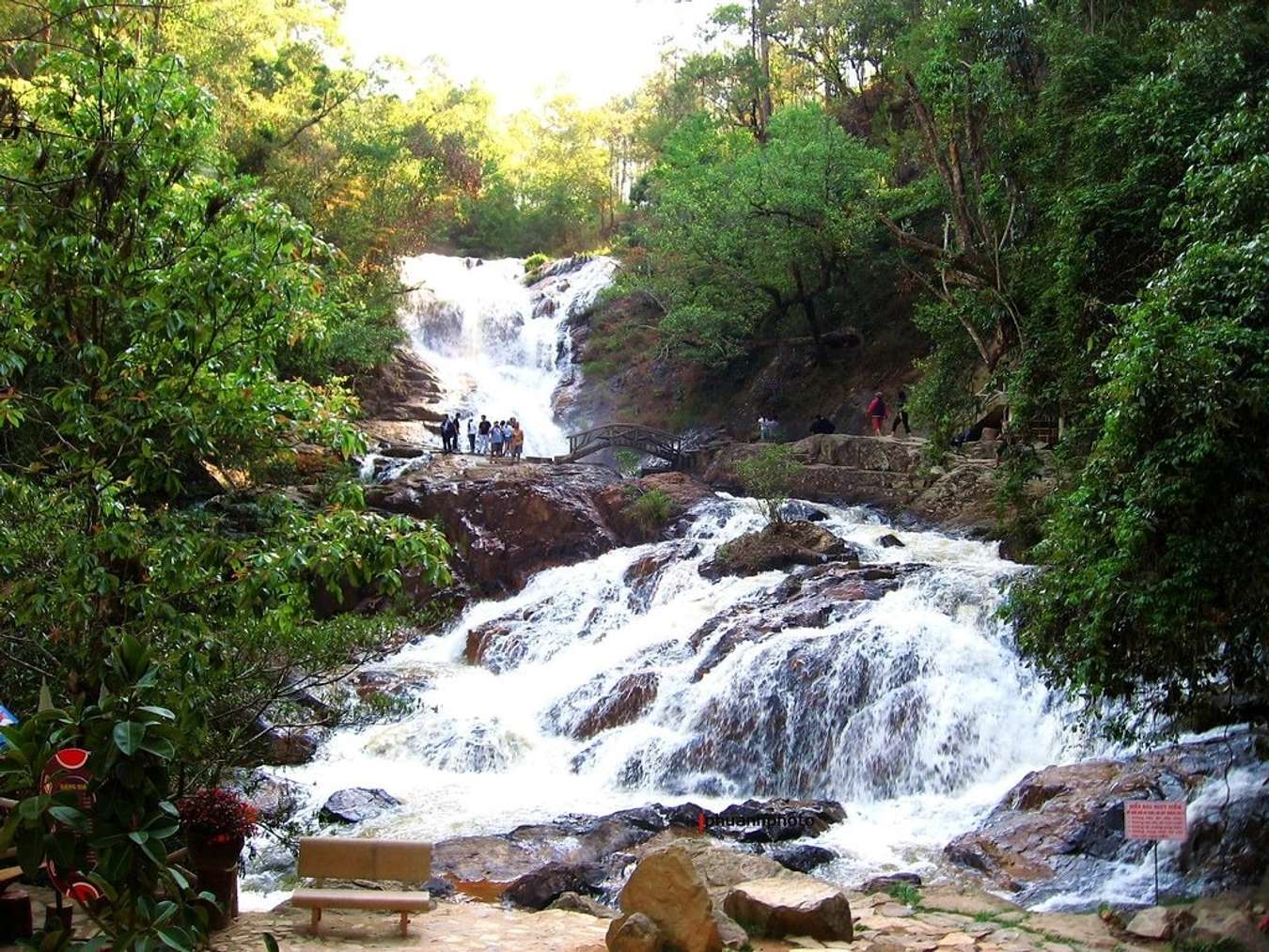 Top 10 phong cảnh Đà Lạt “nên thơ” mà bạn nhất định phải ghé thăm trong dịp  lễ hội này