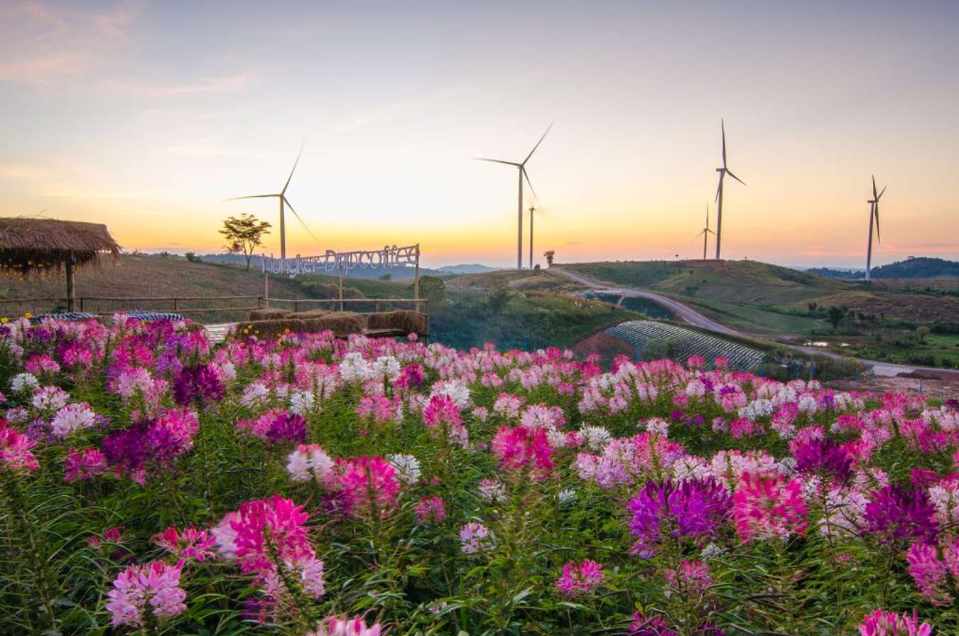 Khao Kho Wind Farm - Khao Kho