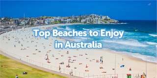 Top Beaches to Enjoy in Australia, Let's Visit!, Travel Bestie