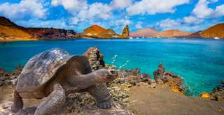 10 top ecotourism destinations around the world, Alex Keshen