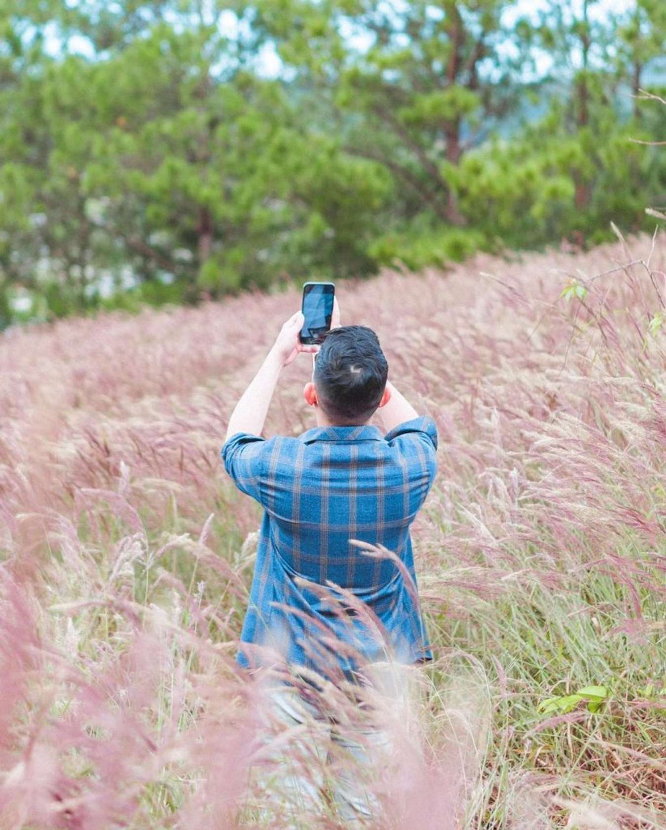 Đà Lạt mùa nào cũng đẹp