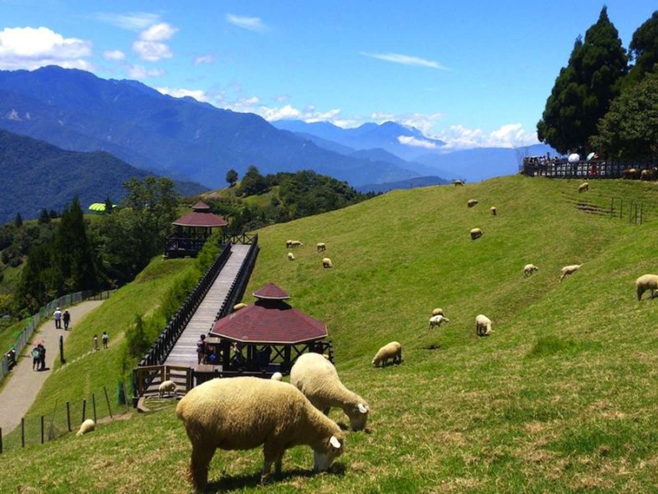 Nông trại cừu Cijing Farm ở Đài Trung