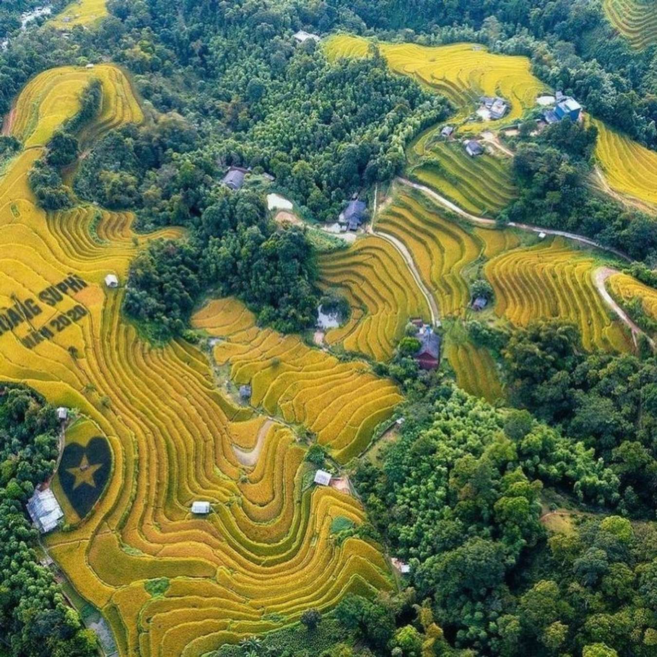 Ghé thăm Hà Giang tháng 8 tận hưởng chốn bình yên mùa lúa xanh