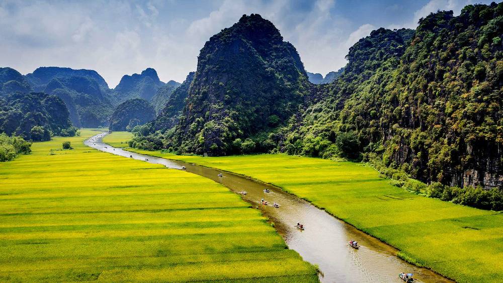 Ninh Bình tháng 6 - Dịu dàng mùa lúa chín