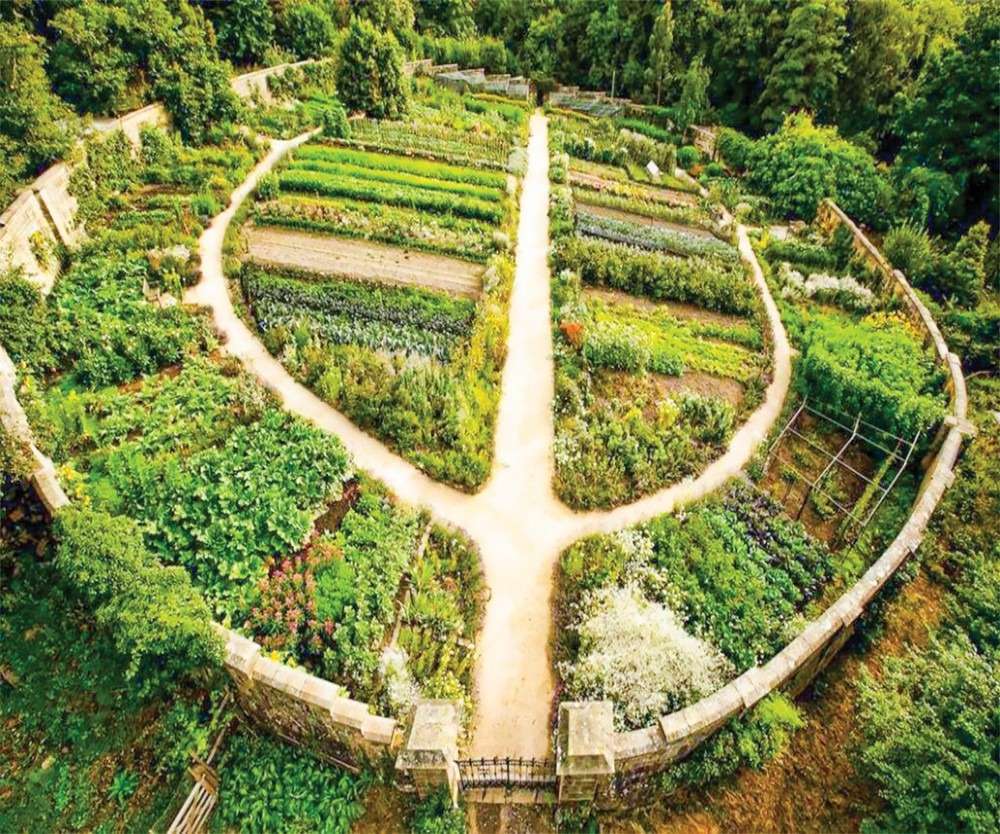 Phát triển mô hình nông nghiệp sinh thái bền vững  Permaculture  SMART  GARDEN