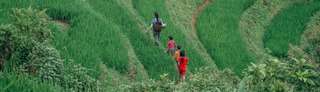 Sapa tháng 8 - Ngắm mưa đầu mùa, săn mây, trekking đường dài, Thao Nguyen