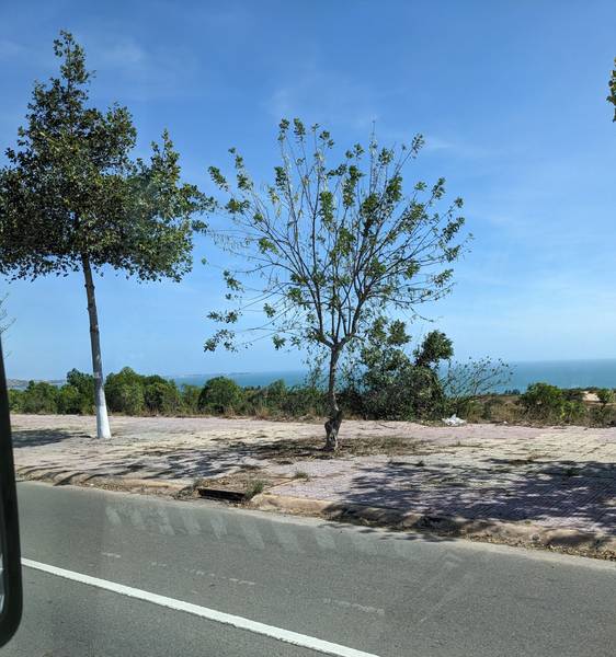 du lịch Mũi Né dịp Tết