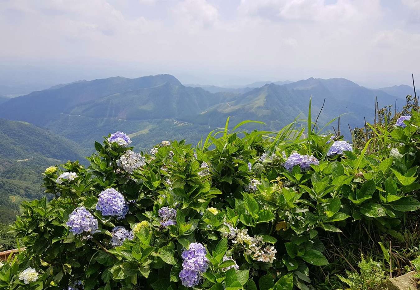 Vi vu đến khu du lịch Mẫu Sơn - Biểu tượng của miền đất Lạng Sơn Vi Vu Đến Khu Du Lịch Mẫu Sơn - Biểu Tượng Của Miền Đất Lạng Sơn