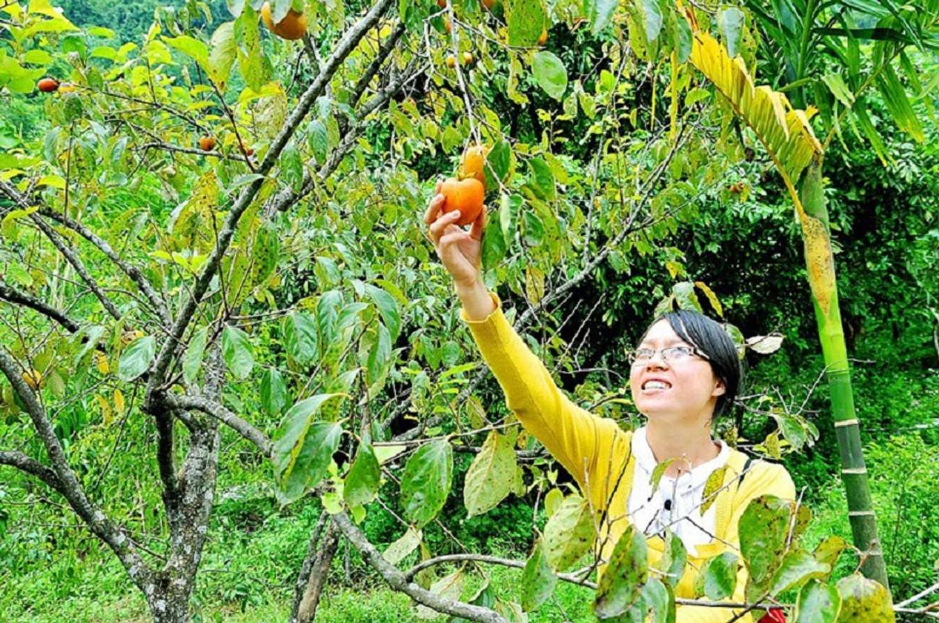 Thung Nham eco-tourism area