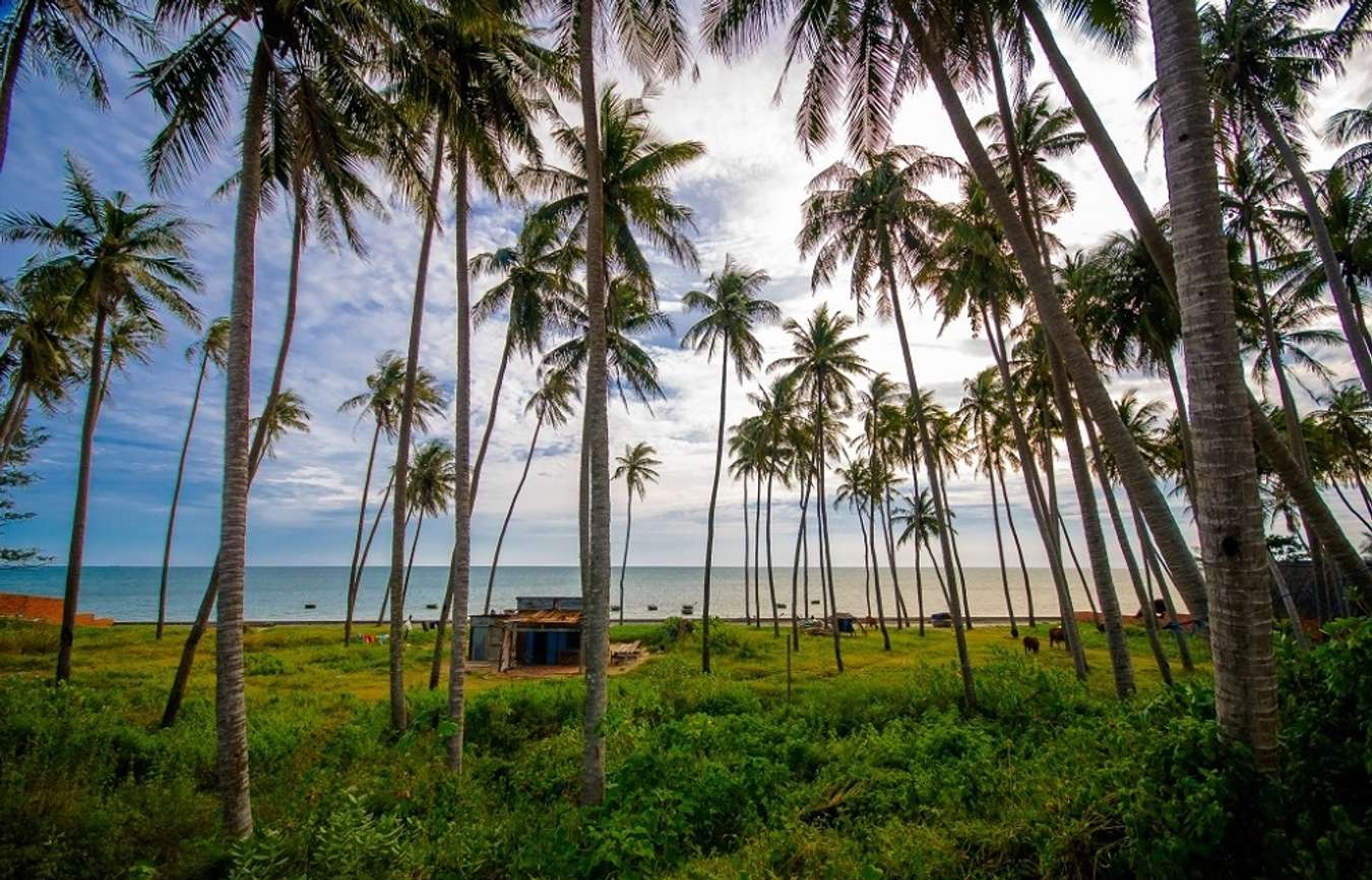 Phan Thiết có gì chơi