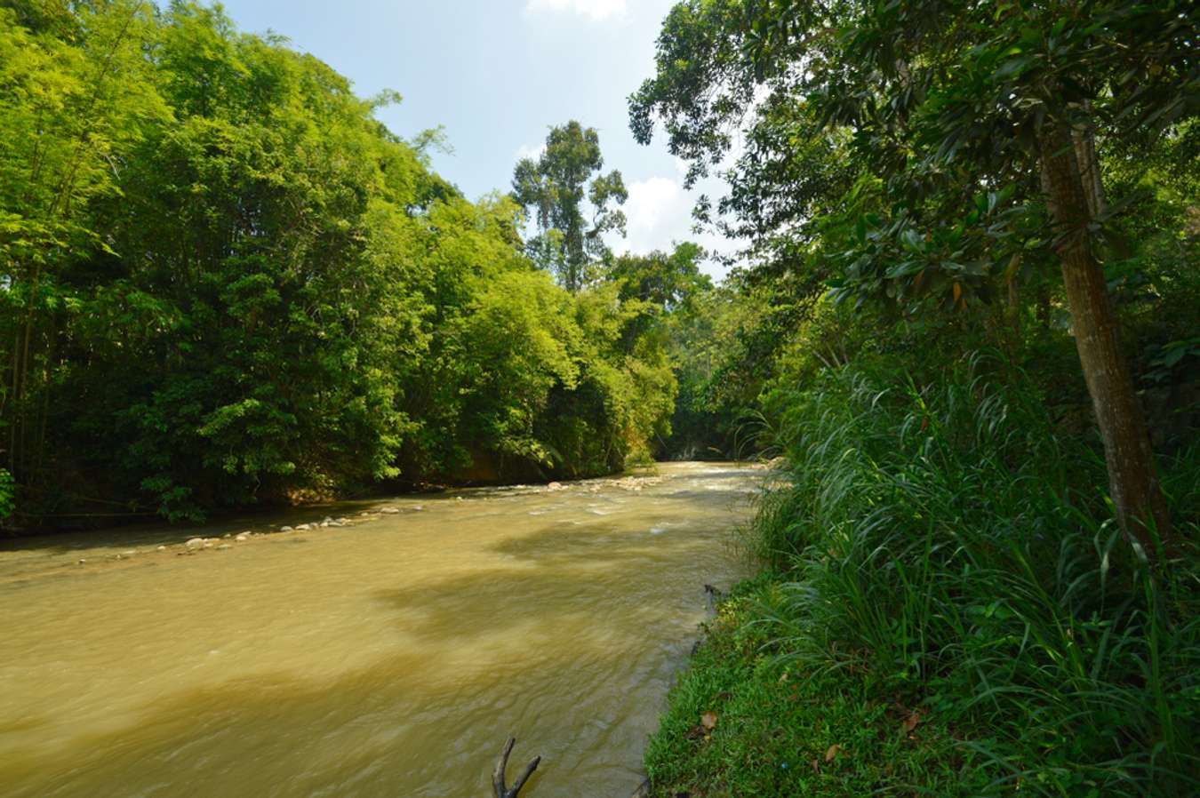 Lentang Forest Reserve - What to do in Pahang