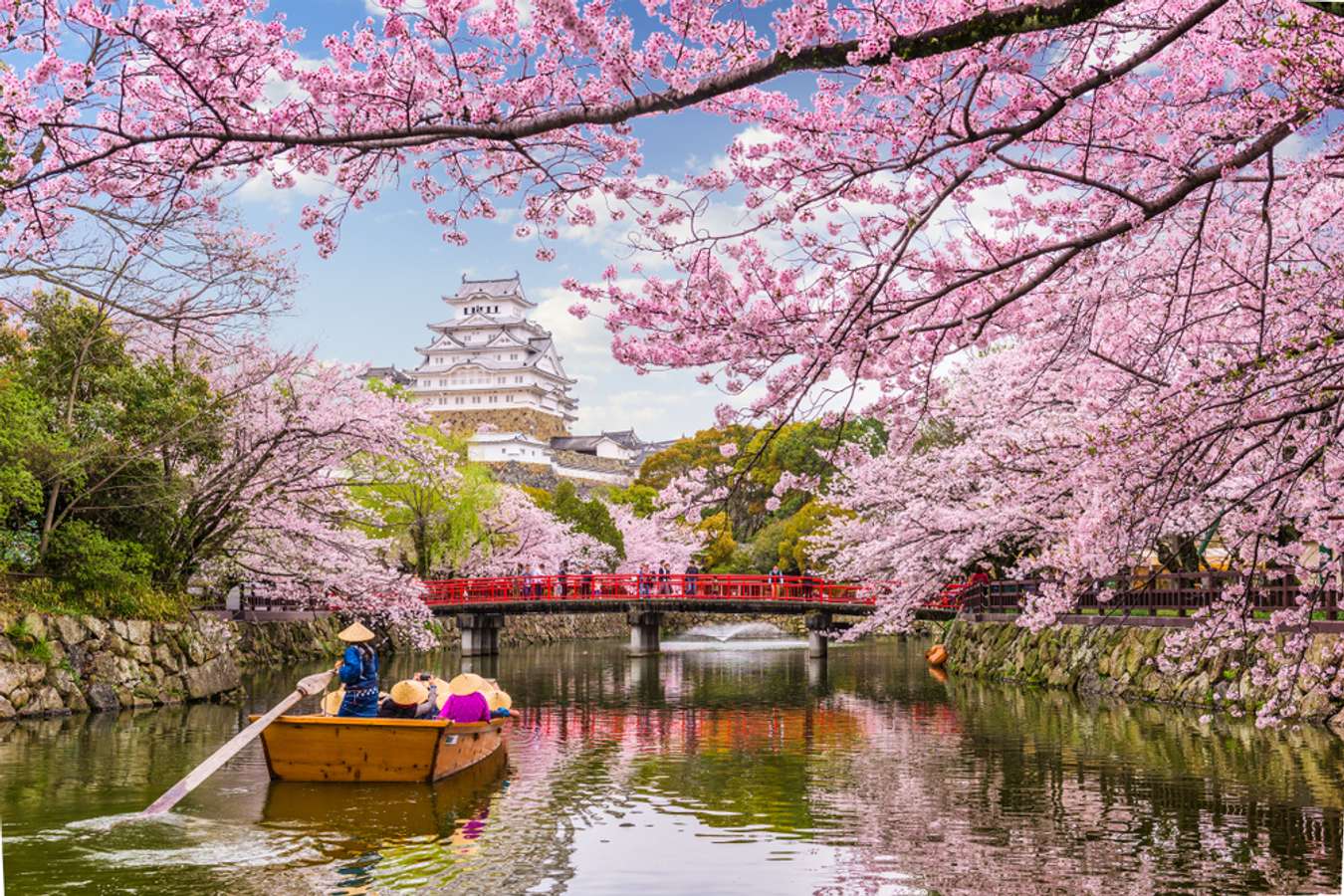 อัปเดต ซากุระบานเดือนไหน 2023 เพื่อวางแผนเที่ยวชมโลกสีชมพู