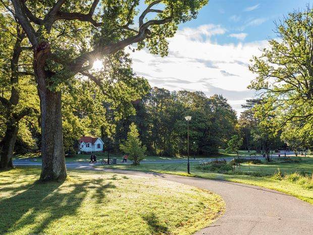 Sustainable travel in Gothenburg, Sweden