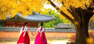 10 Tempat Wisata Musim Gugur Korea Selatan, Saksikan Keindahannya, Anna Cendana