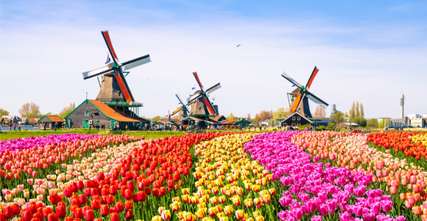 Event: Amsterdam Tulip Festival in the Netherlands, Globetrotter