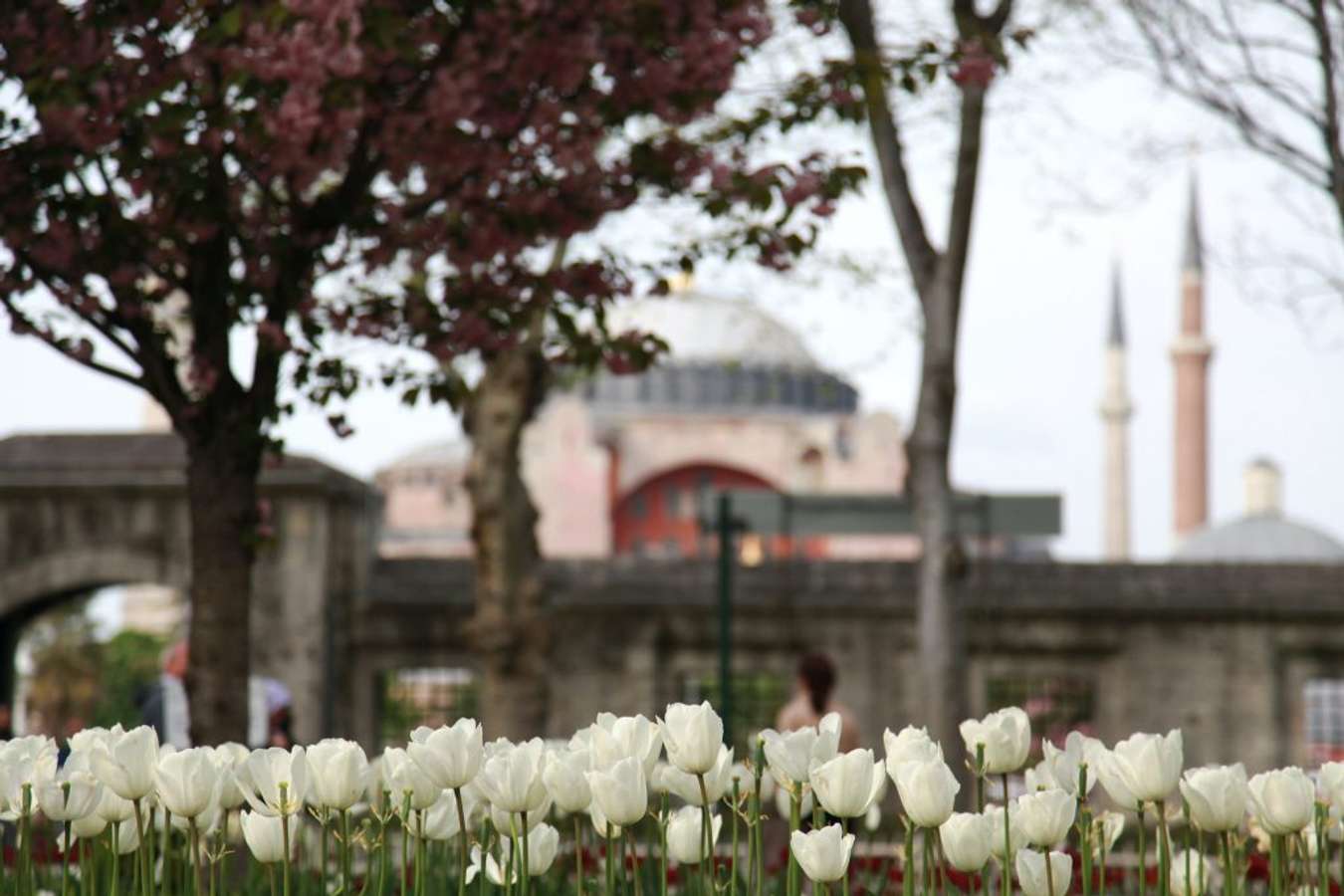 Istanbul Tulip Festival