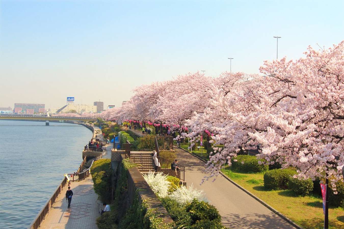 asakusa