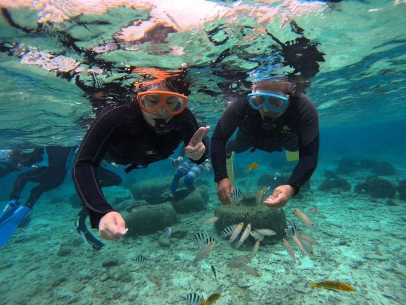 lặn biển khi du lịch okinawa