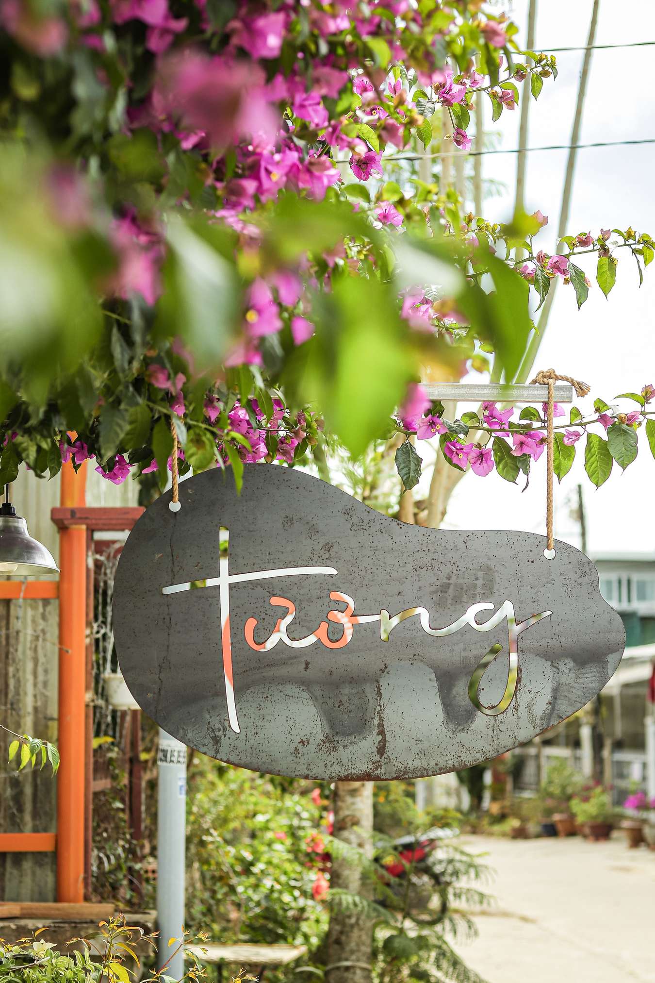 Tương quán cà phê ở Đà Lạt