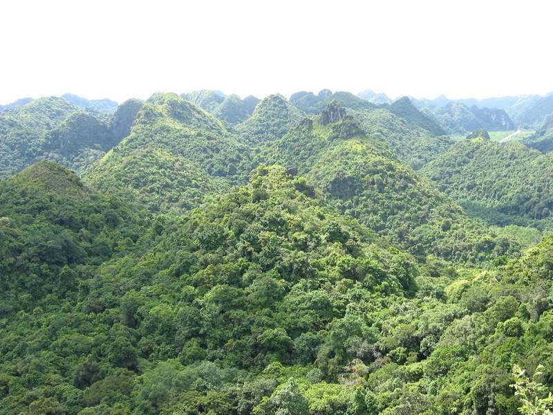 kinh nghiệm du lịch Cát Bà
