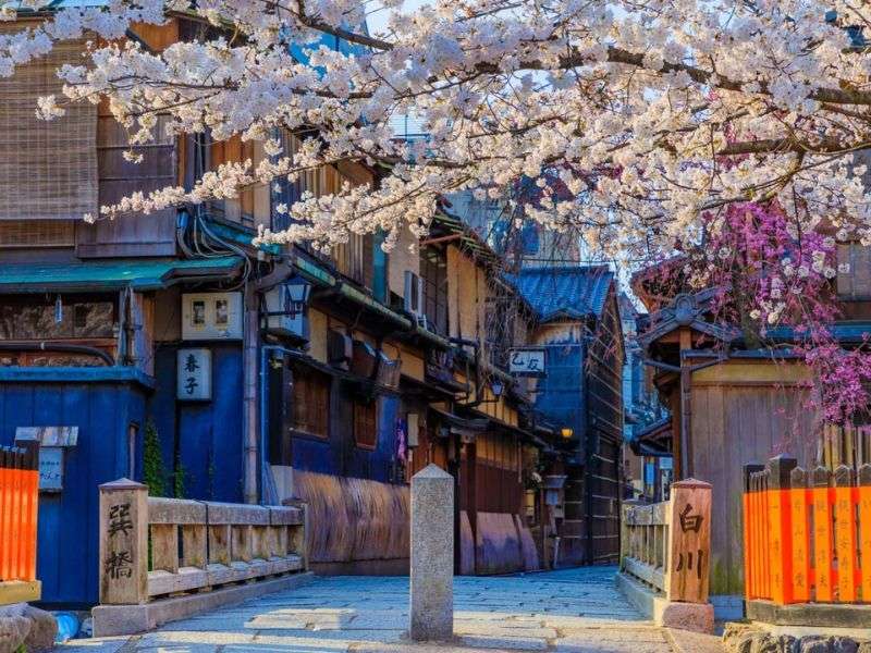 Top 6 địa điểm ngắm hoa anh đào ở Kyoto