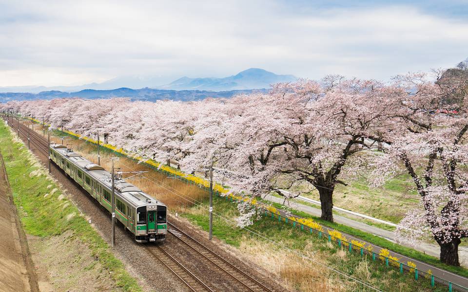 Transportation Options in Nagoya