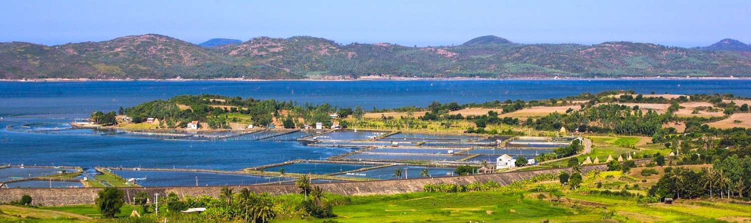 Du lịch đầm Ô Loan: “Điểm sáng” của du lịch Phú Yên
