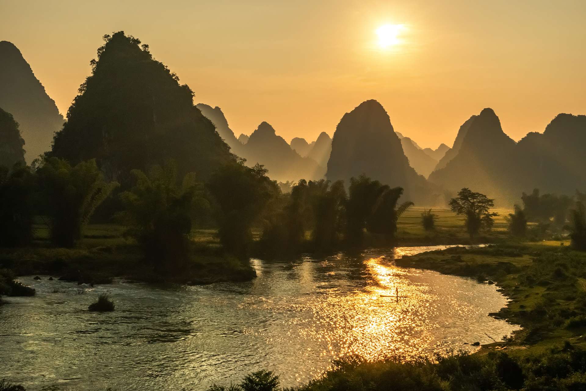 Harvest Time In Vietnam: Ripe Rice On Two Sides Of Quay Son River 