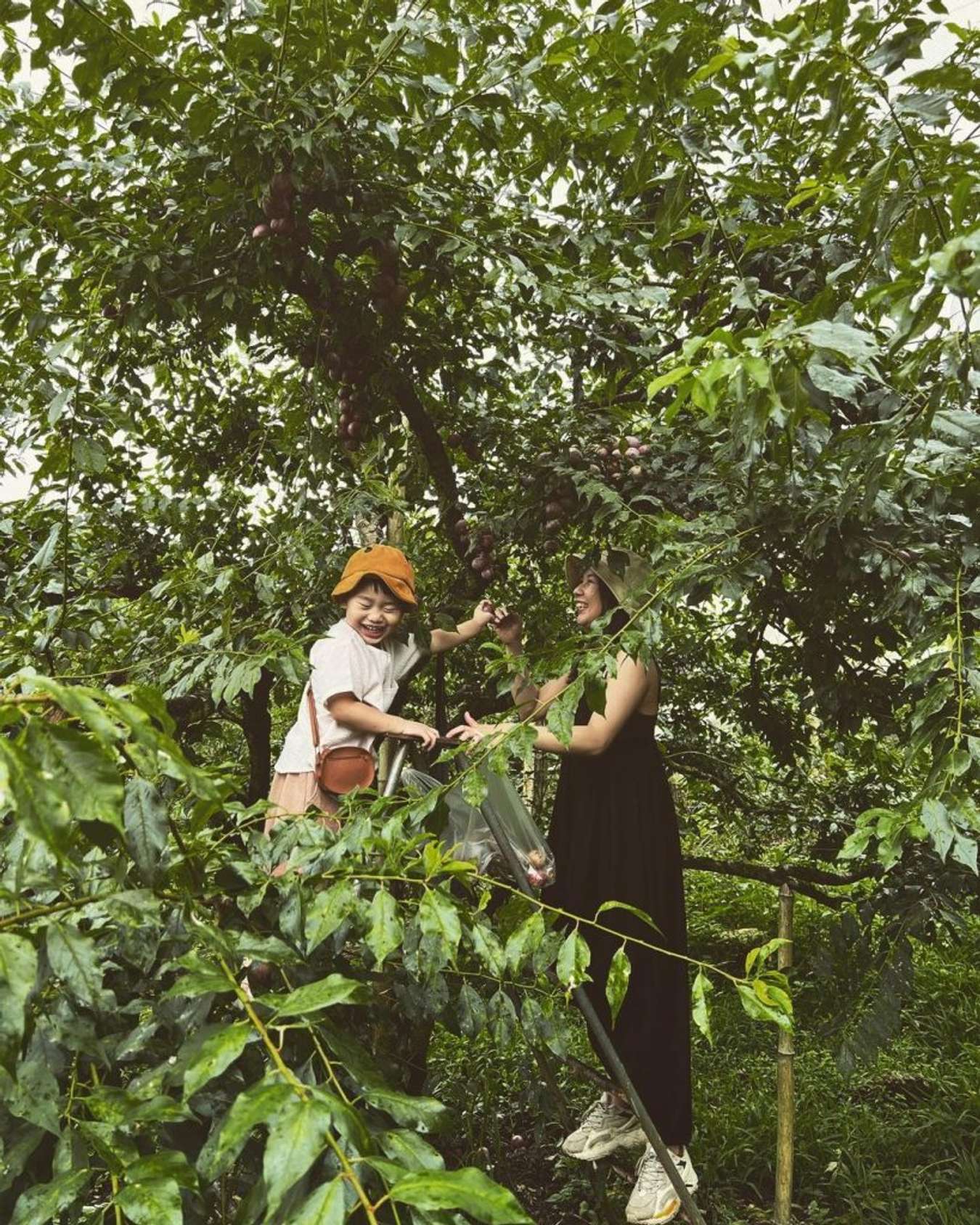 Tham quan tiền Thung Lũng Mận