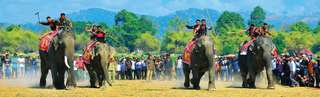Du lịch buôn Đôn với nhiều trải nghiệm thú vị, Thao Nguyen